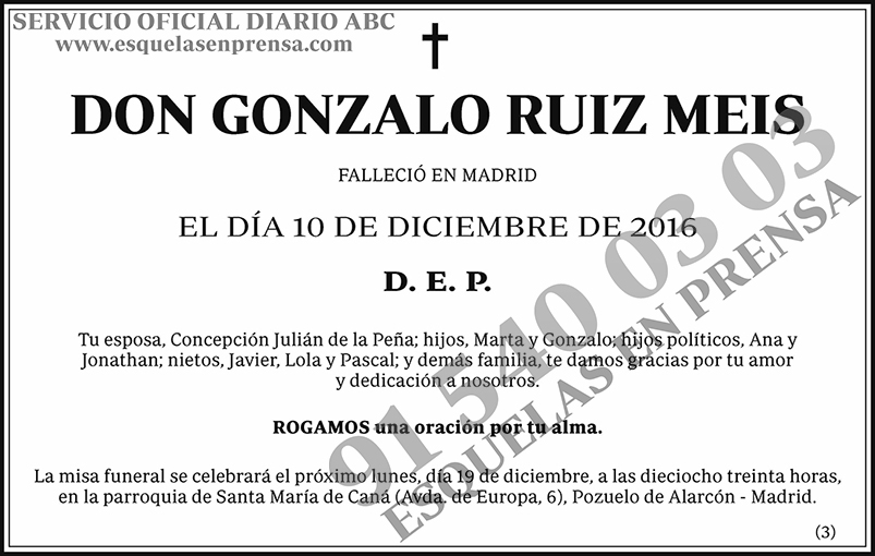 Gonzalo Ruiz Meis